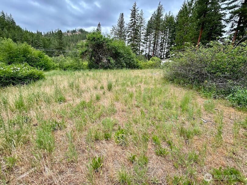 15425 Chumstick Highway photo 2