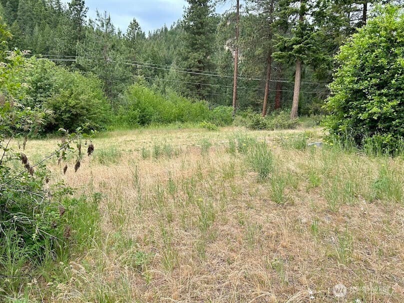 15425 Chumstick Highway photo 3