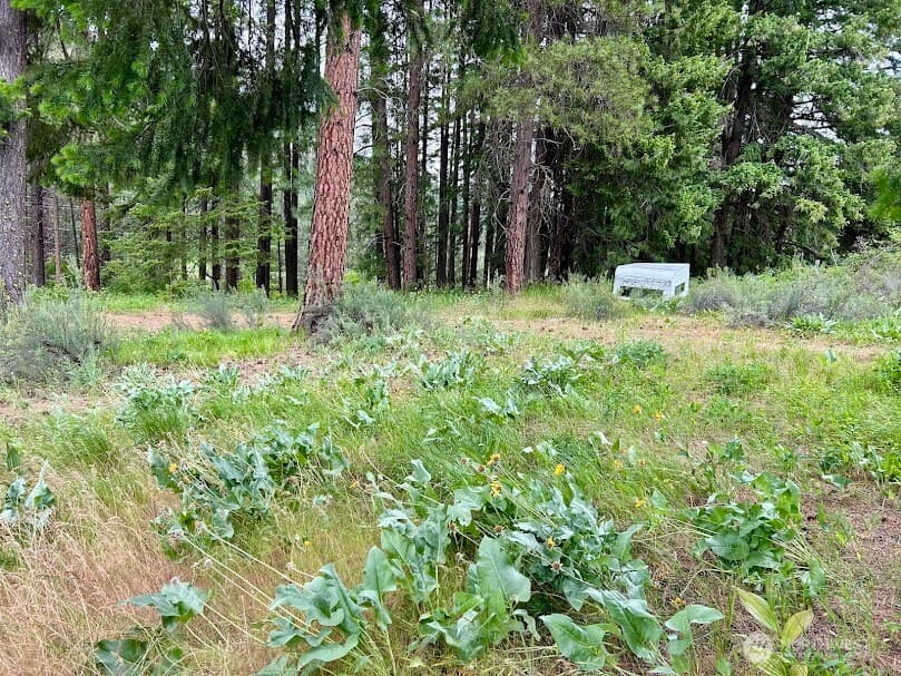 15425 Chumstick Highway photo 4