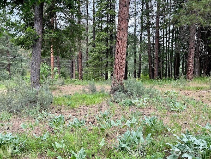 15425 Chumstick Highway photo 5