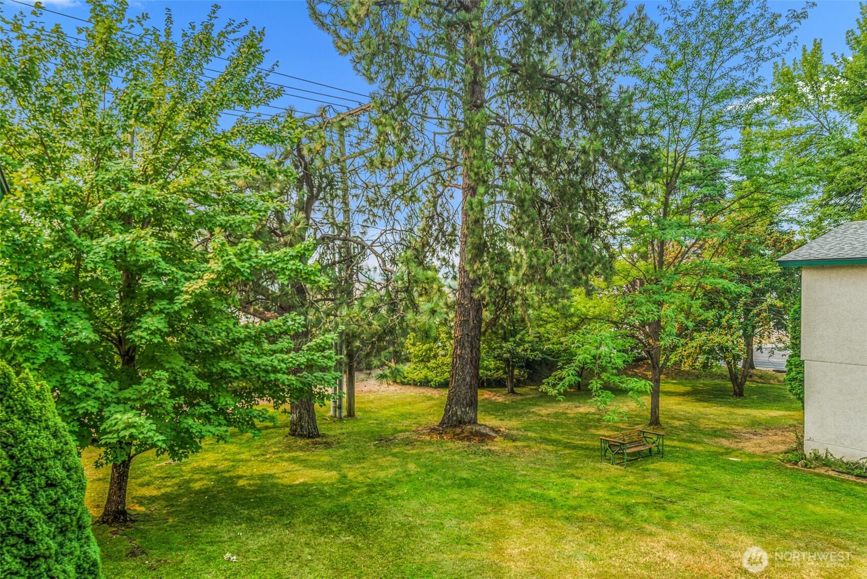 111 Whitman Street #2D photo 4