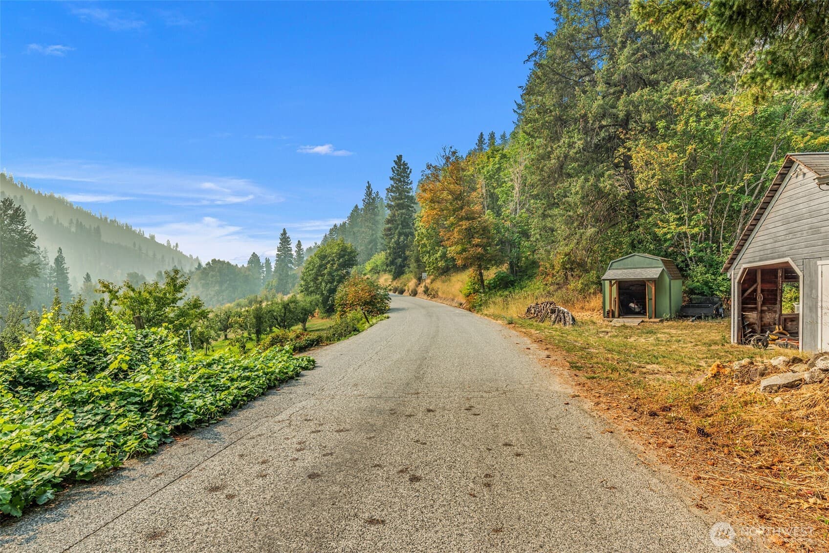 9088 Derby Canyon Road photo 5