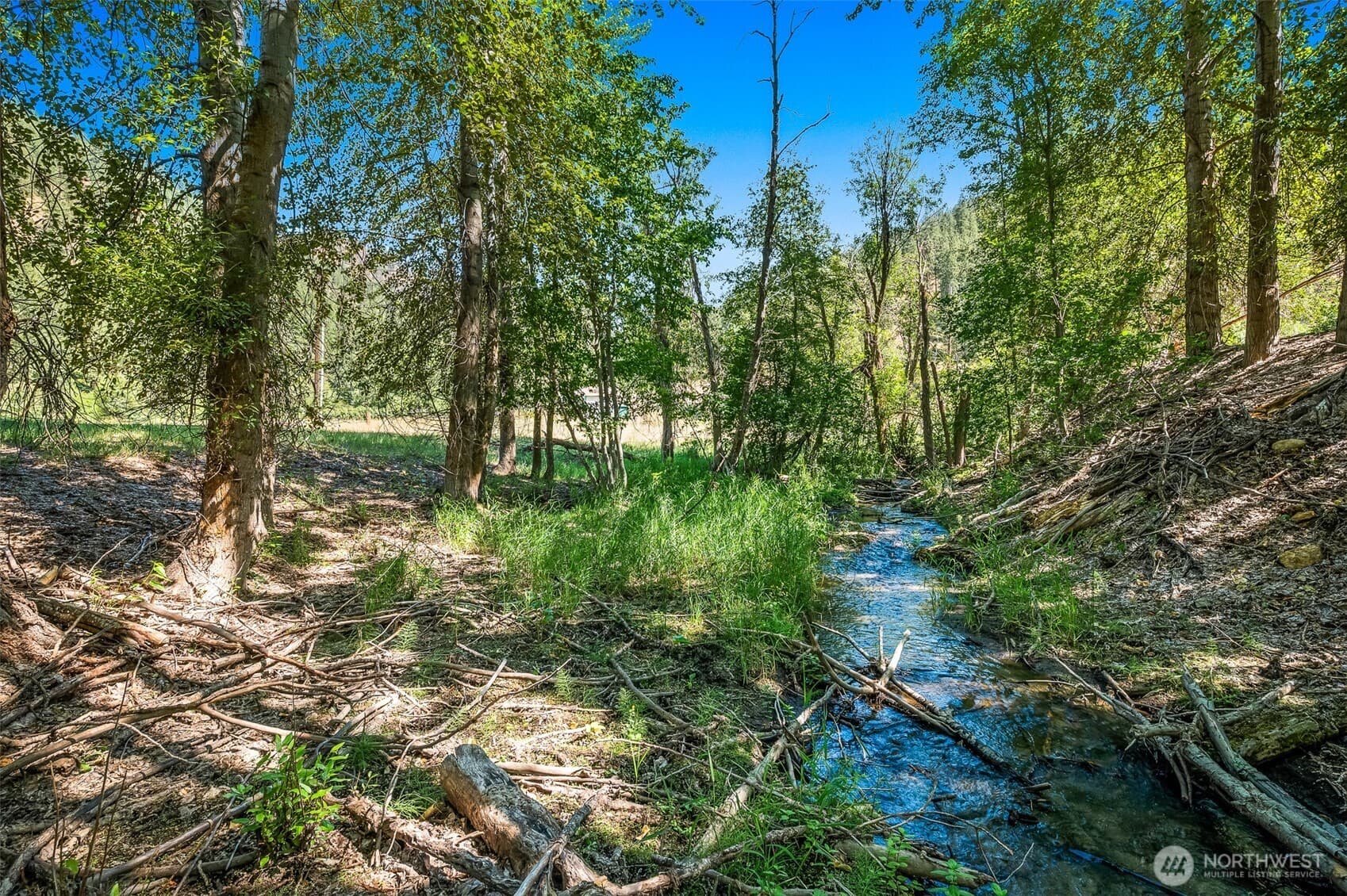 10547 Merry Canyon Road photo 5