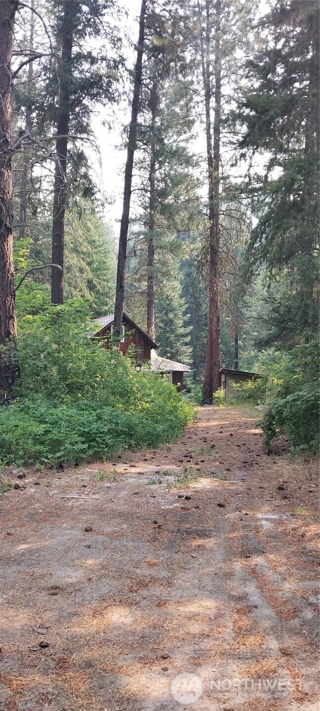 16745 SECOND CREEK RD photo 3