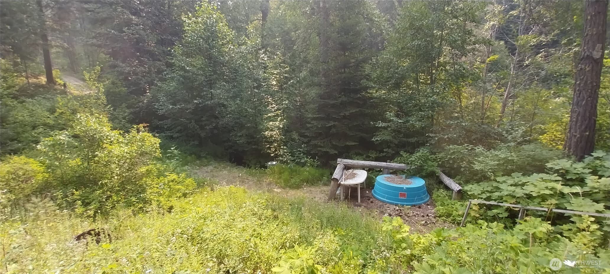 16745 SECOND CREEK RD photo 4