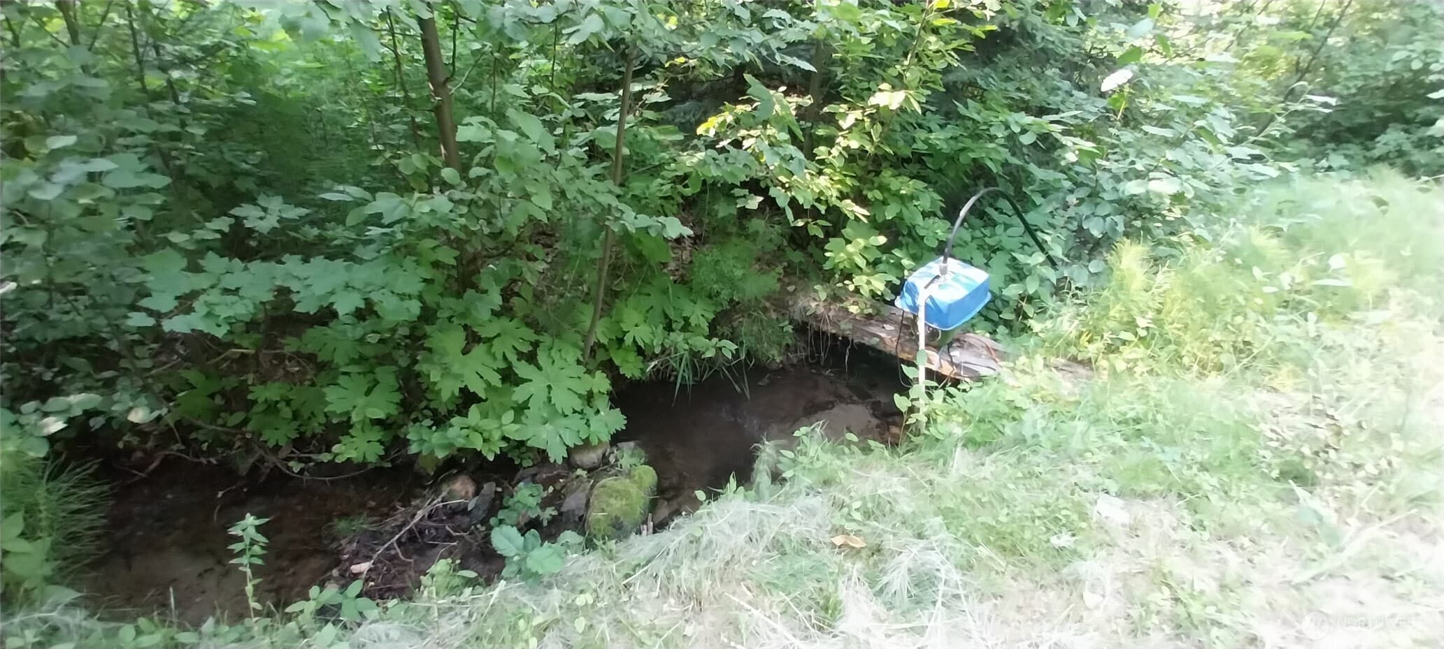 16745 SECOND CREEK RD photo 5